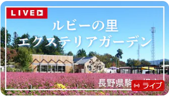 20240910_LIVE