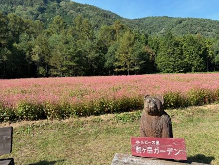 20241007_ruby1
