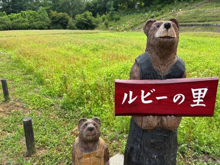 20250711_ruby1