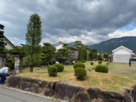 20250827_kusa2
