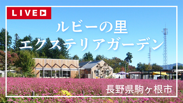 オーニング展示場ルビーの里ライブカメラ